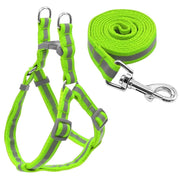 Dog Leash