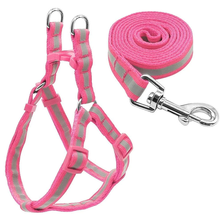 Dog Leash
