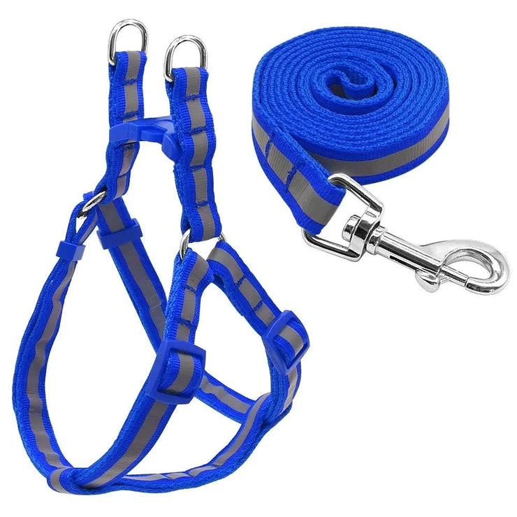 Dog Leash